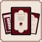 The Diary of the Modern Bride